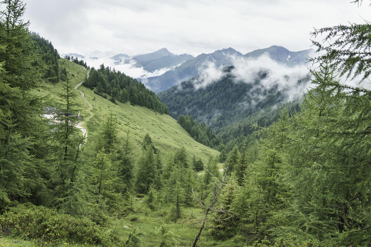 Gasthaus Furlhuette Vipiteno Kültér fotó